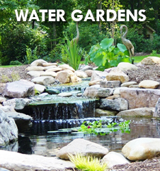 Water Gardens Portfolio