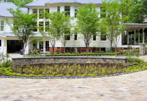 House front view