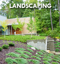 Landscape Design Raleigh NC