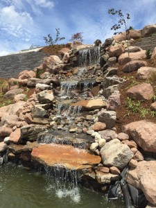 Water Feature in Cary