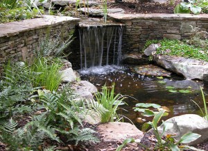 stone wall pond