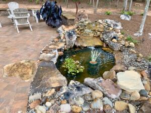 Pond with Running Water and Aquatic Plants